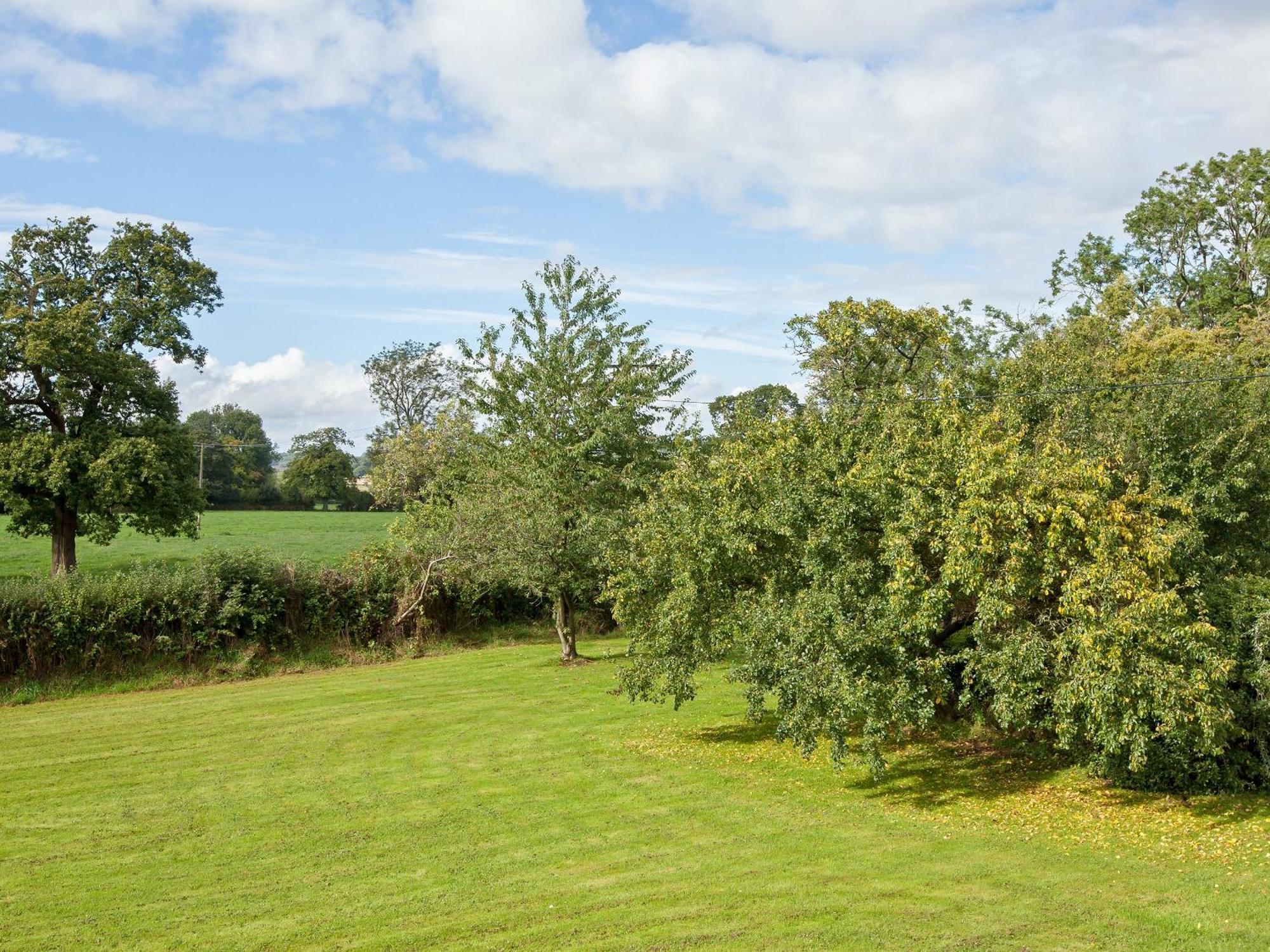 Fir Tree Cottage Standon Екстериор снимка